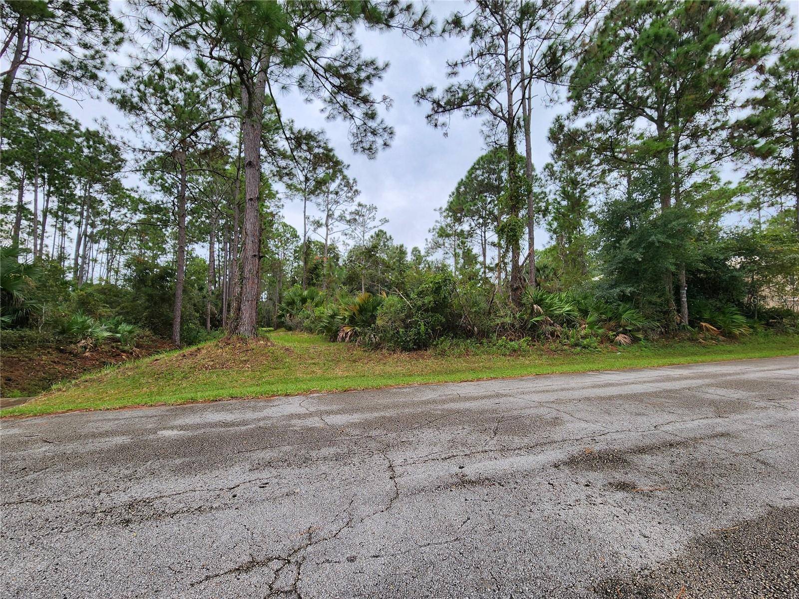 Palm Coast, FL 32164,15 SLUMBER MEADOW TRL