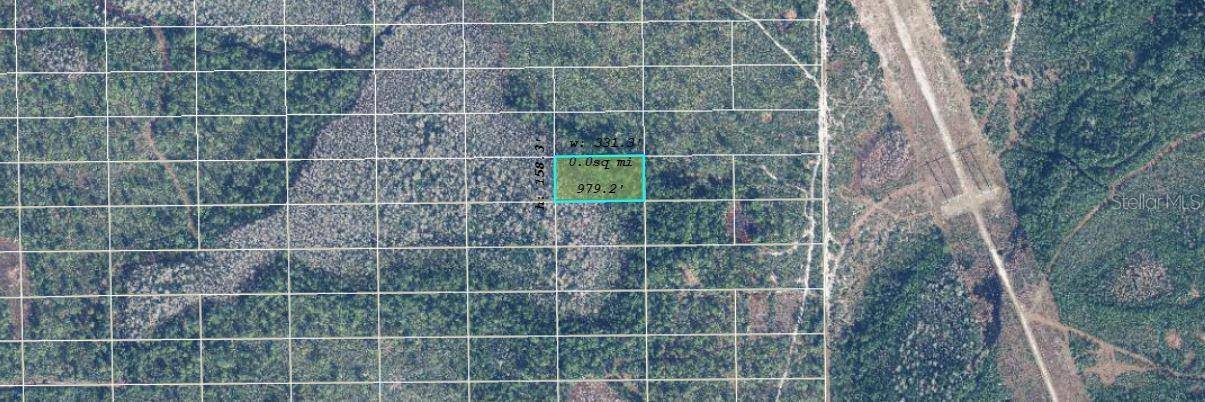 Orlando, FL 32820,DILL RD