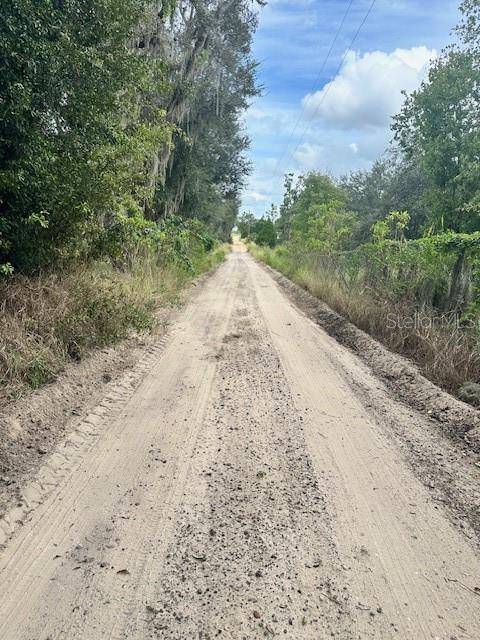 Groveland, FL 34736,DRY FORK RD