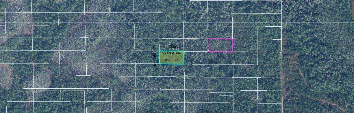 Orlando, FL 32820,DILL RD