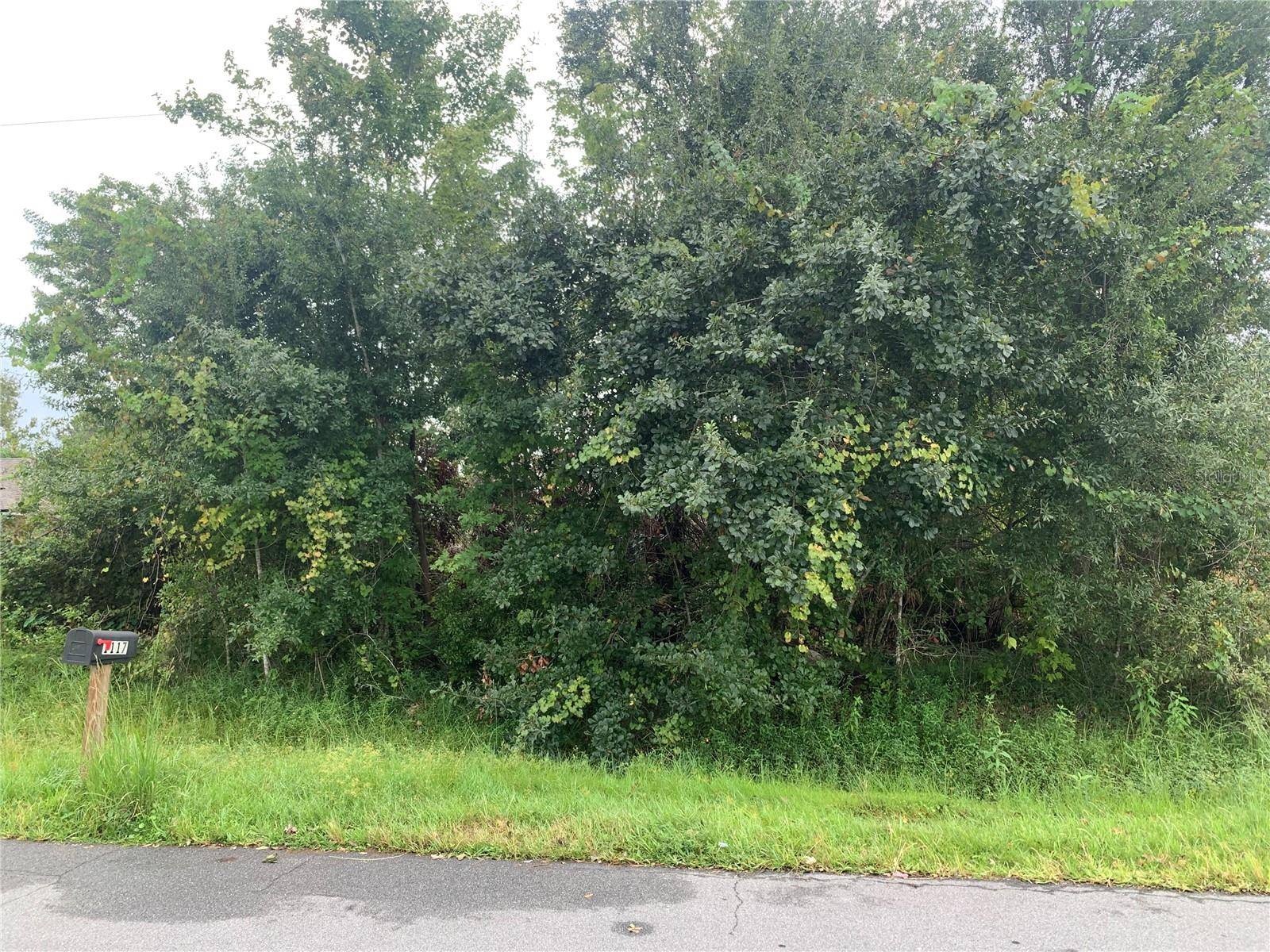 Kissimmee, FL 34759,1116 SAINT MICHEL WAY