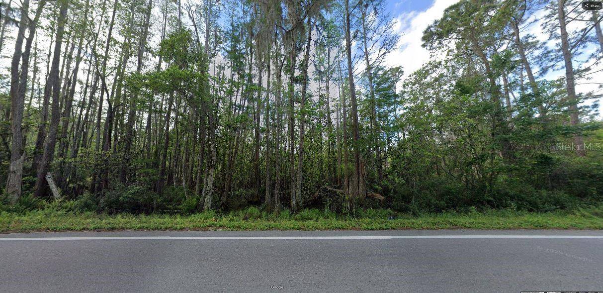 Polk City, FL 33868,DEEN STILL RD