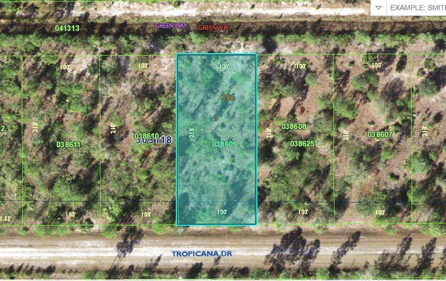 Indian Lake Estates, FL 33855,518 TROPICANA DR