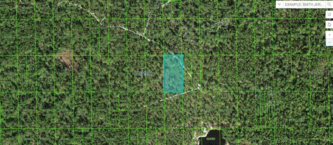 Lake Wales, FL 33898,60 E ST