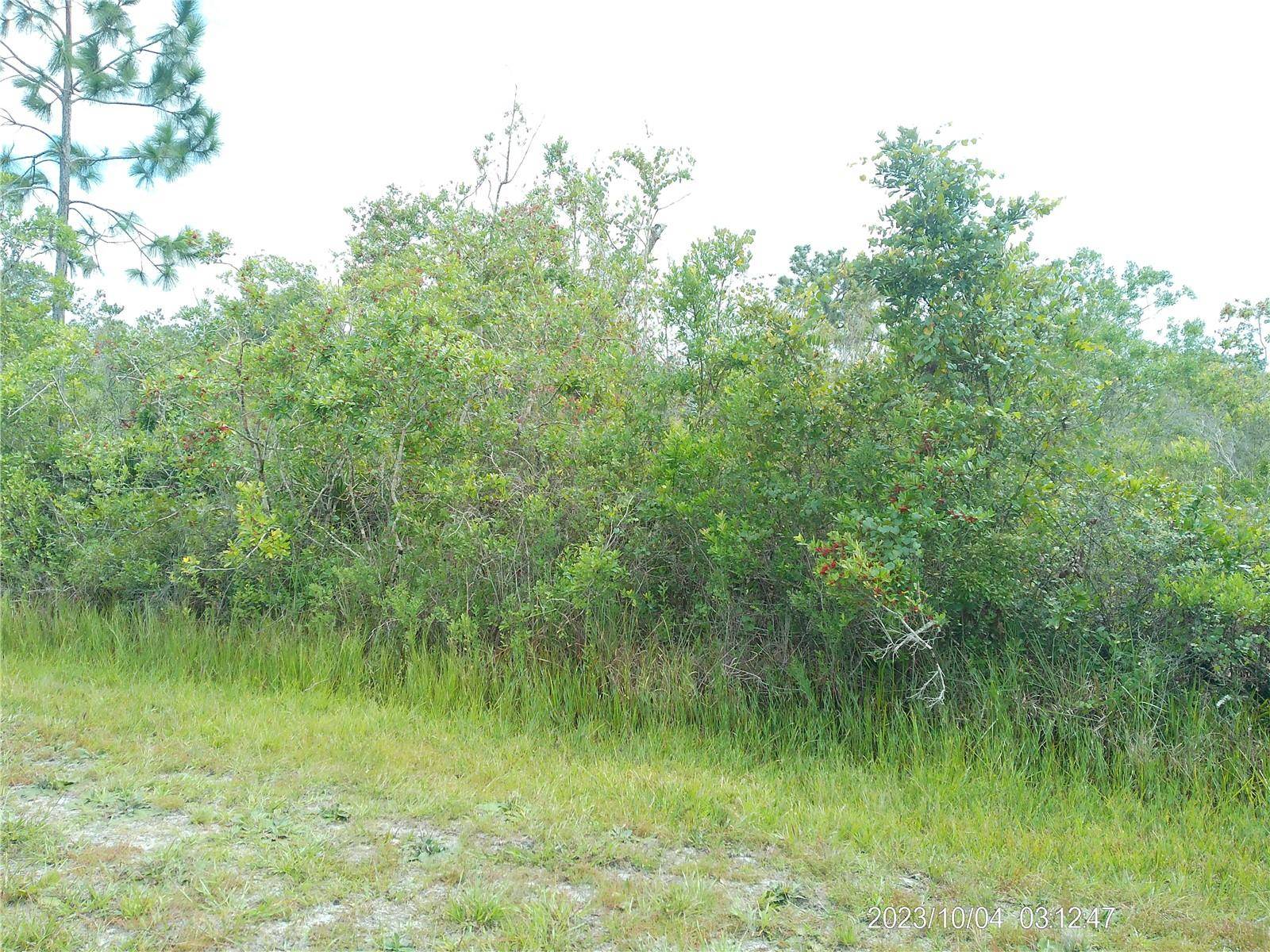 Indian Lake Estates, FL 33855,309 CAMELLIA DR