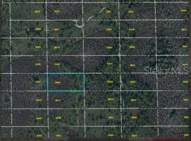 Orlando, FL 32820,DILL RD