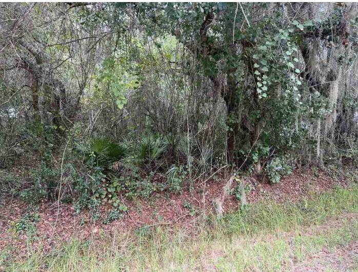 Lake Wales, FL 33898,BAHAMA ST