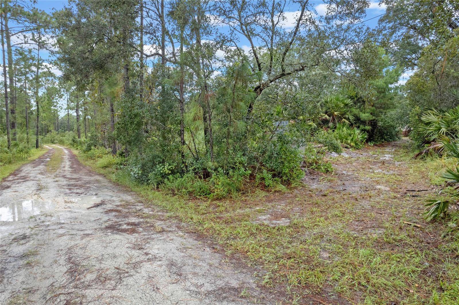 Eustis, FL 32736,32745 BLACKWATER OAKS DR