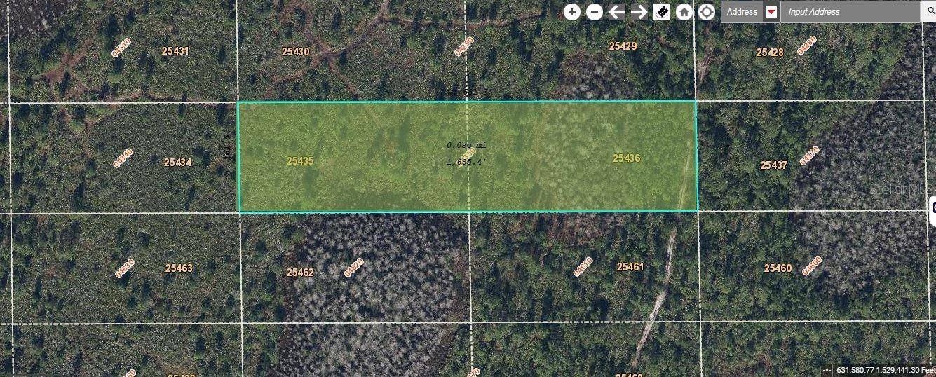 Orlando, FL 32820,DILL RD