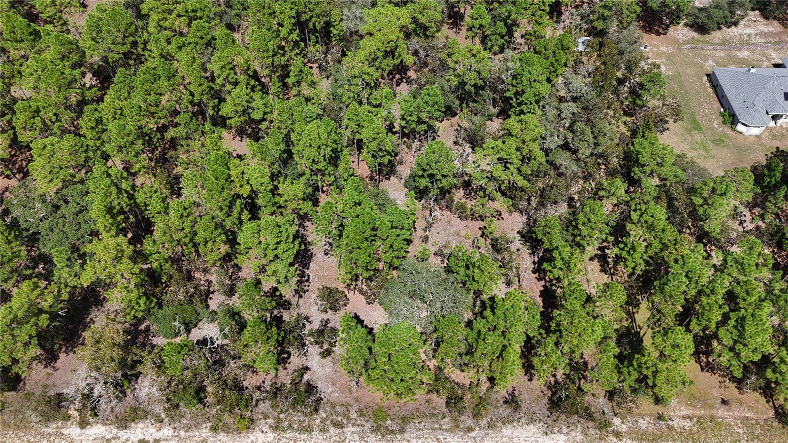 Dunnellon, FL 34431,Lot 33 SW NEPTUNE BLVD