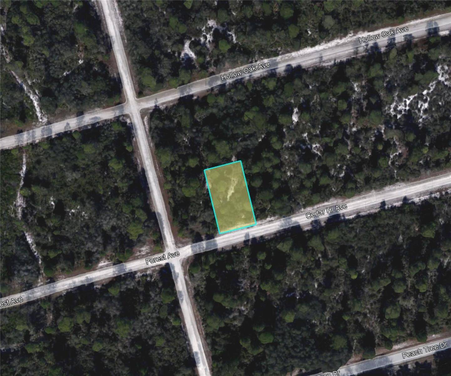 Lake Placid, FL 33852,3049 CEDAR HILL AVE