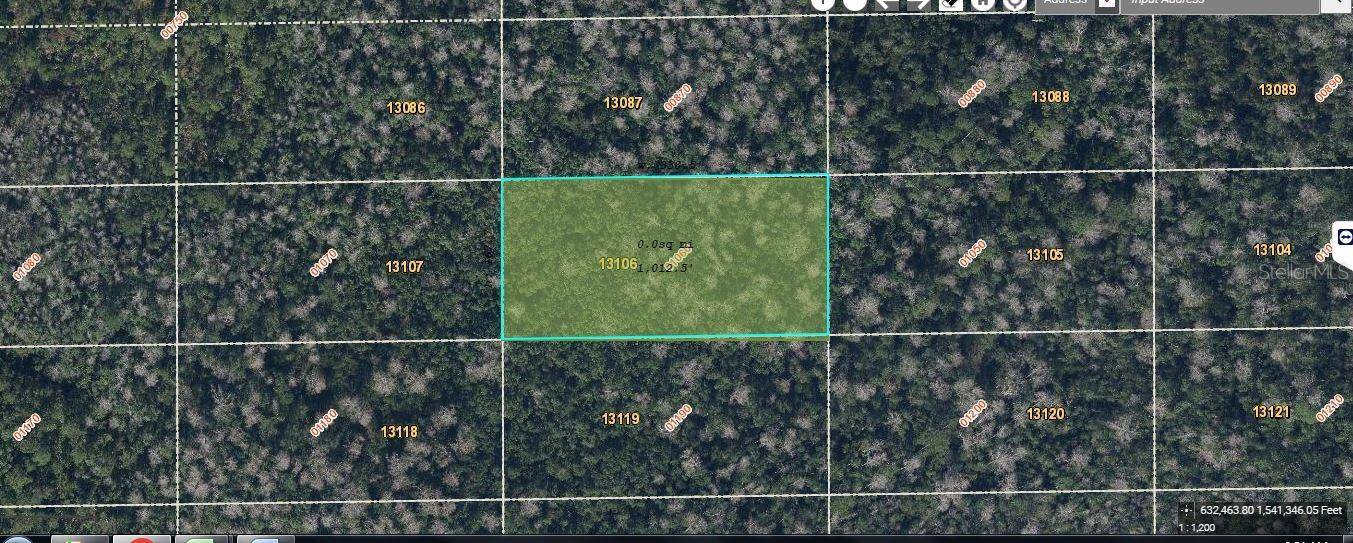 Orlando, FL 32820,DILL RD