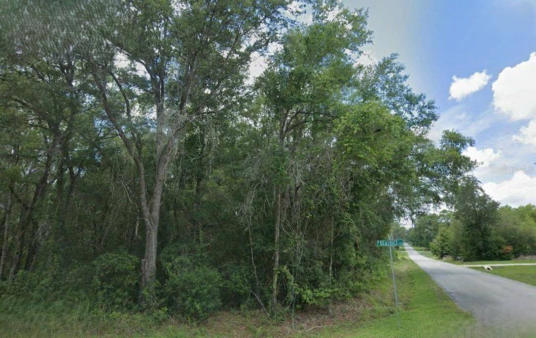 Inverness, FL 34453,3296 E GLADYS ST