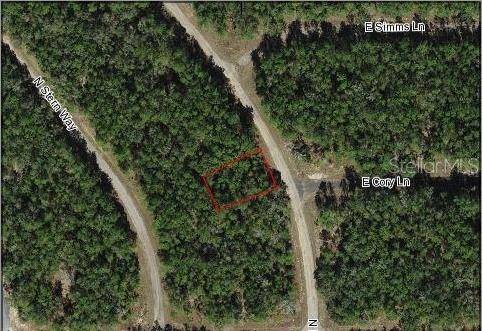 Dunnellon, FL 34434,8588 N MALIBU RD