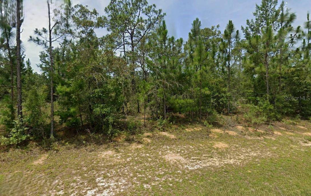 Chipley, FL 32428,WASHINGTON BLVD