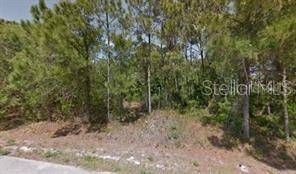 Palm Bay, FL 32909,1223 WADSWORTH ST SE