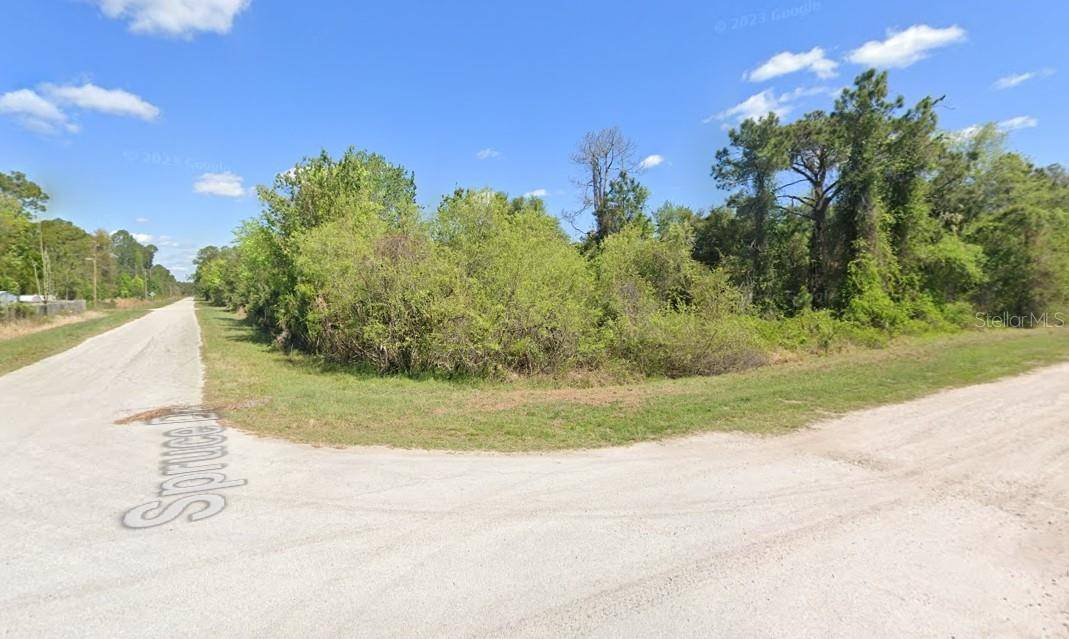 Georgetown, FL 32139,Lot 21 SPRUCE DR