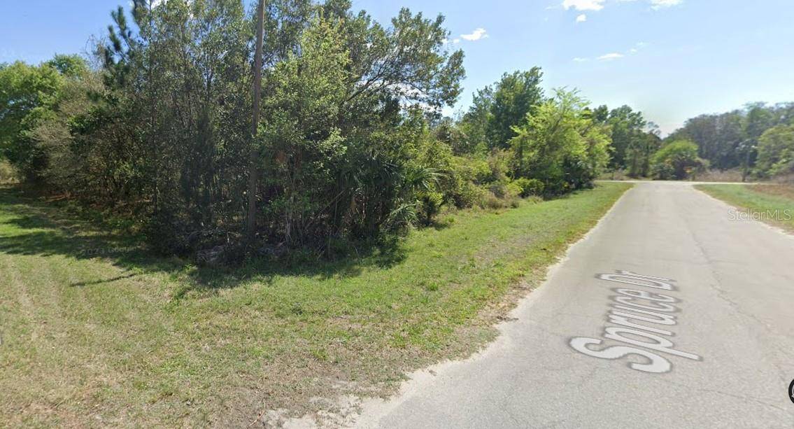 Georgetown, FL 32139,Lot 22 SPRUCE DR