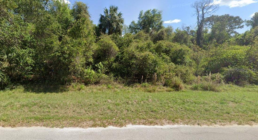 Georgetown, FL 32139,Lot 22 SPRUCE DR