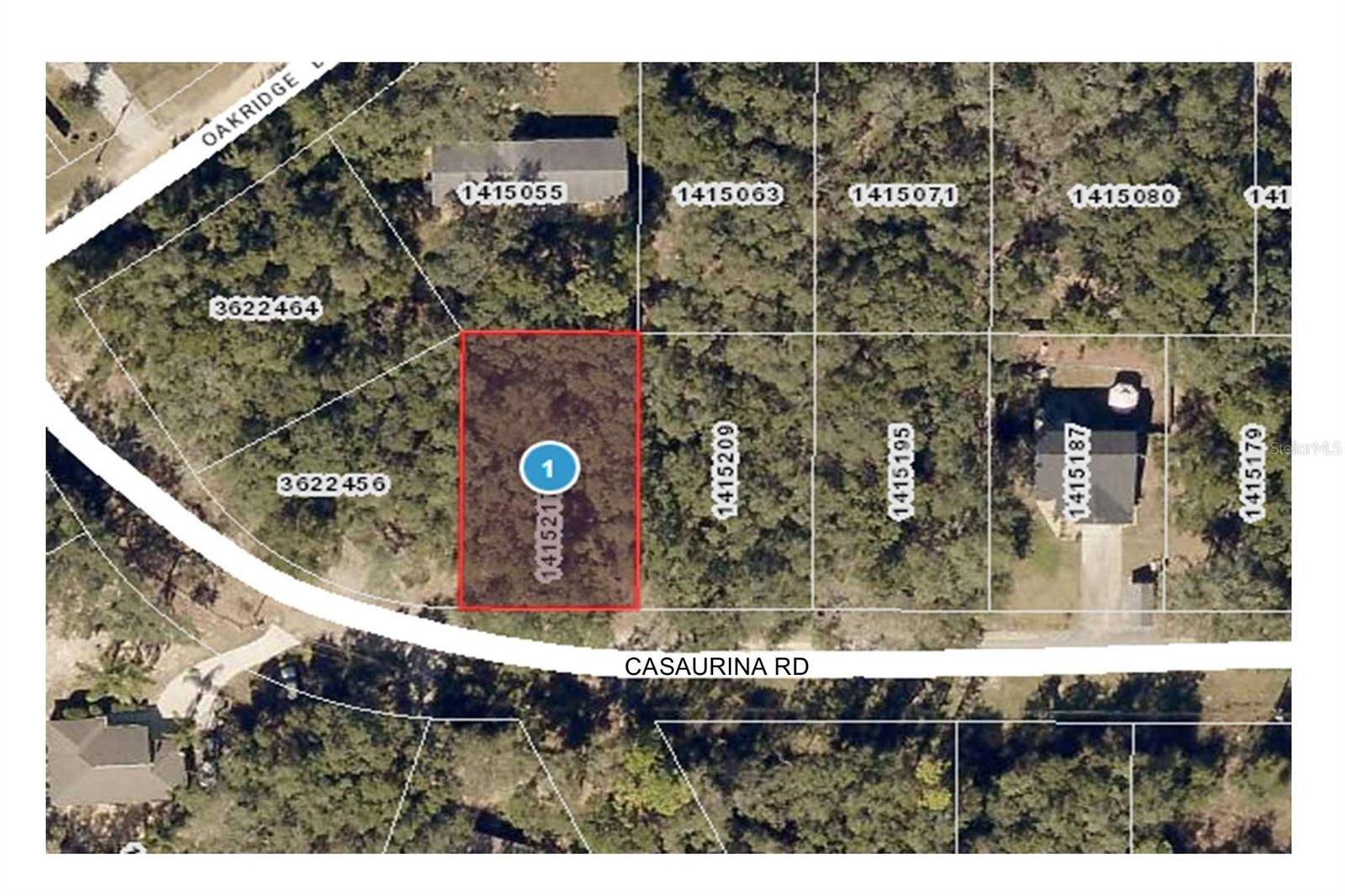 Lady Lake, FL 32159,CASAURINA RD