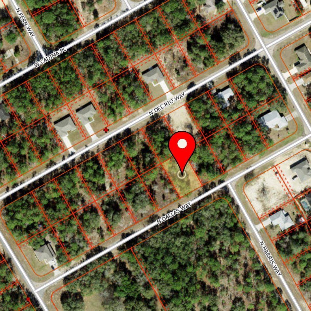 Citrus Springs, FL 34434,9360 N DALLAS WAY