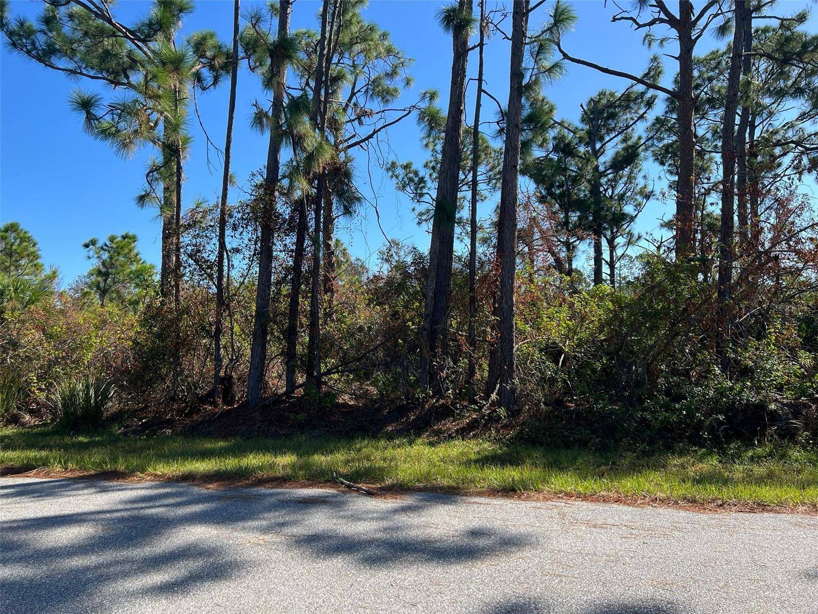 Port Charlotte, FL 33981,7364 WALCOTT RD