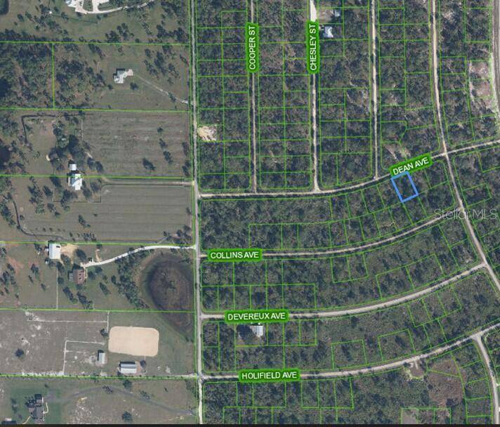 Lake Placid, FL 33852,3236 DEAN AVE