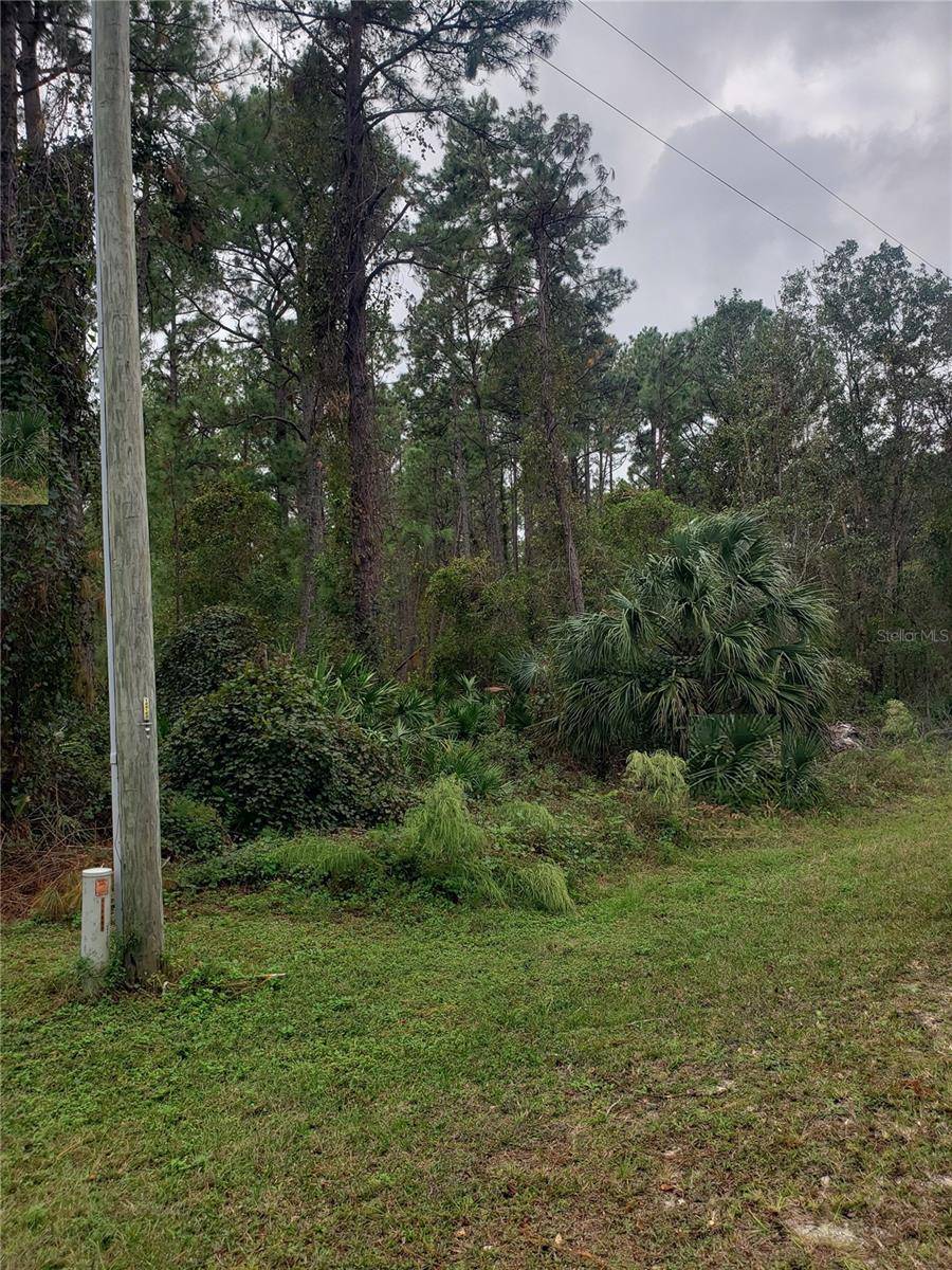 Eustis, FL 32736,APRICOT AVE