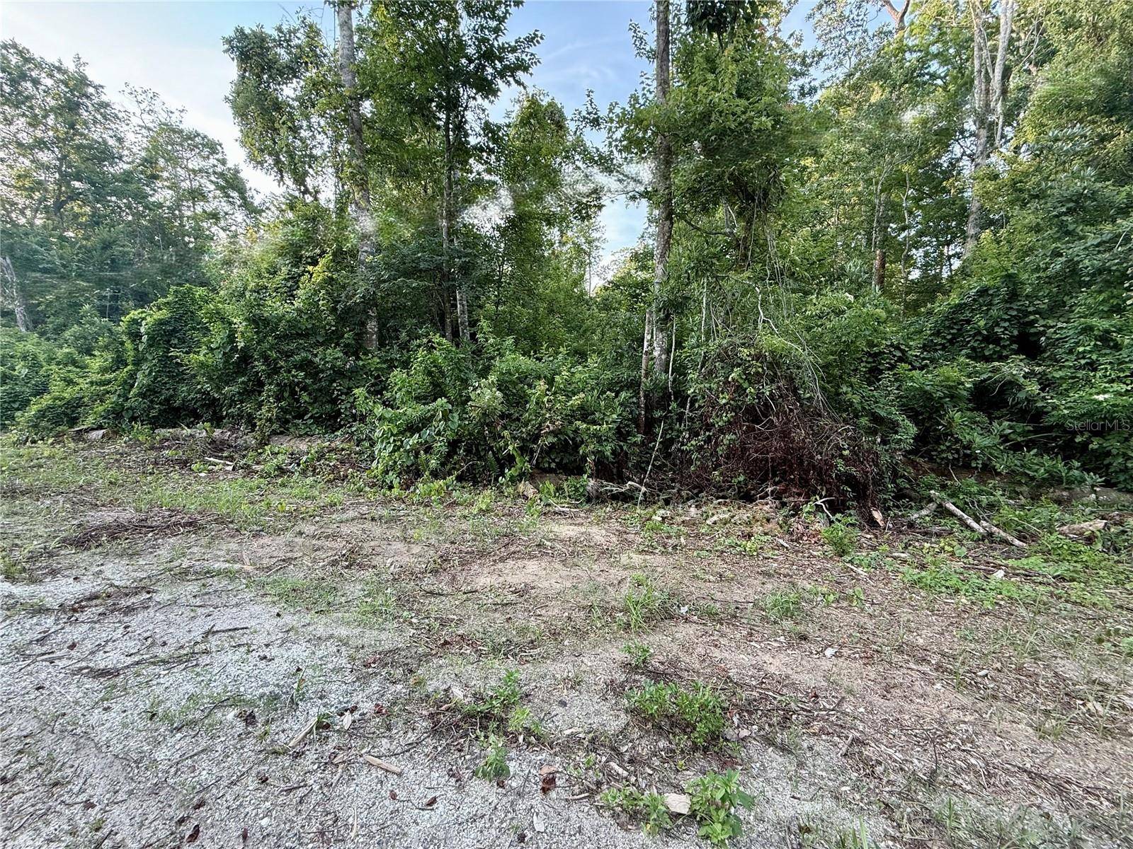 Kissimmee, FL 34747,SWEETWATER TRL #156