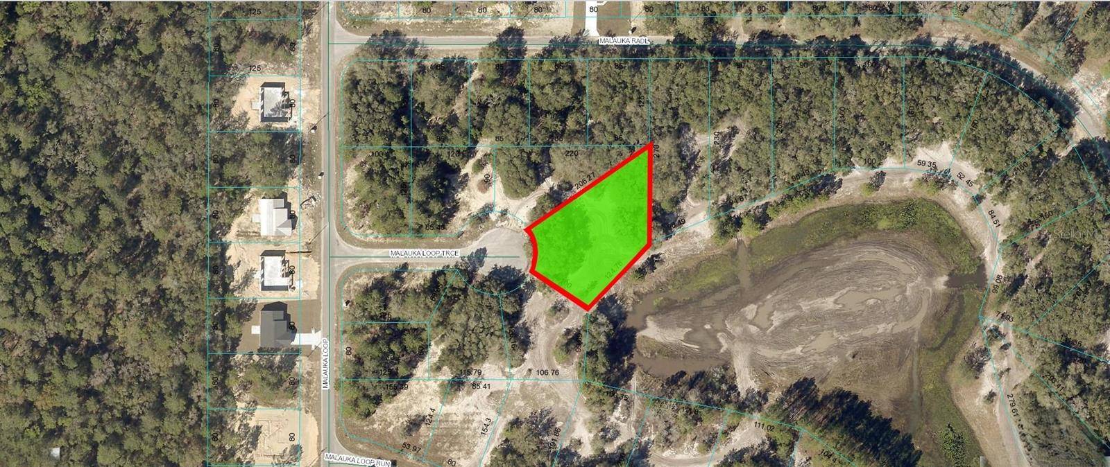 Ocklawaha, FL 32179,MALAUKA LOOP TRCE