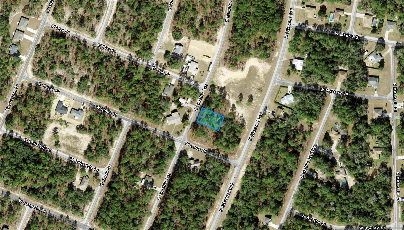 Citrus Springs, FL 34434,9751 N EMELLIA AVE