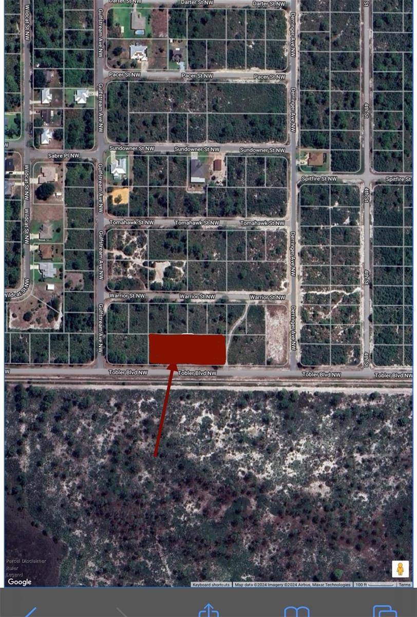 Lake Placid, FL 33852,529 TOBLER BLVD