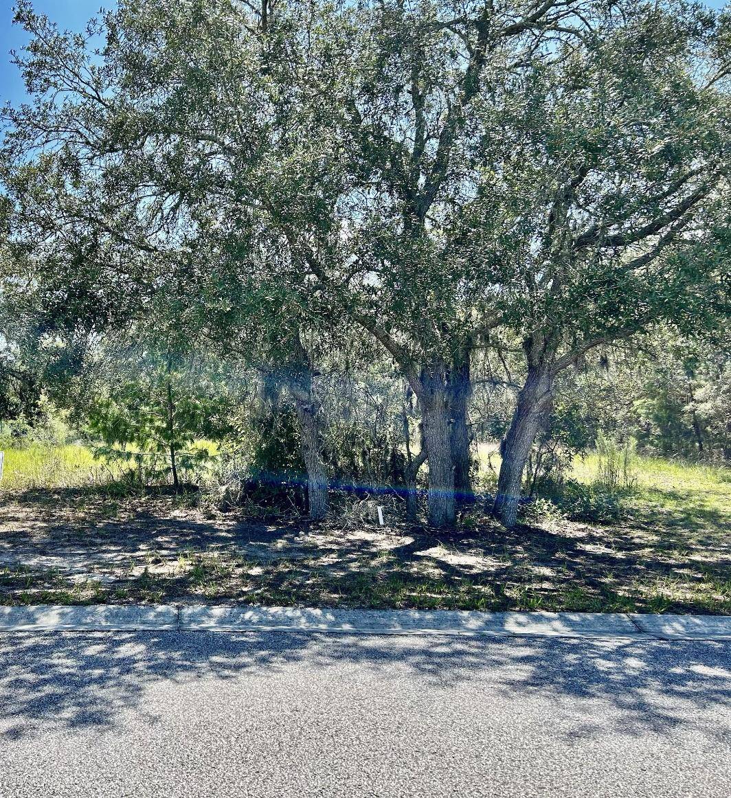 Hudson, FL 34667,0 OGGIE LN