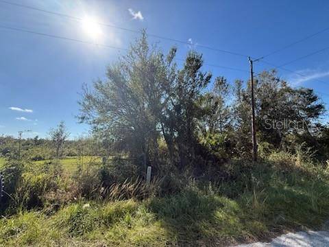 Wauchula, FL 33873,WHIPPOORWILL LN