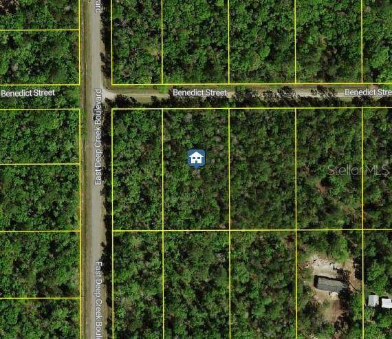 Hastings, FL 32145,4795 BENEDICT ST