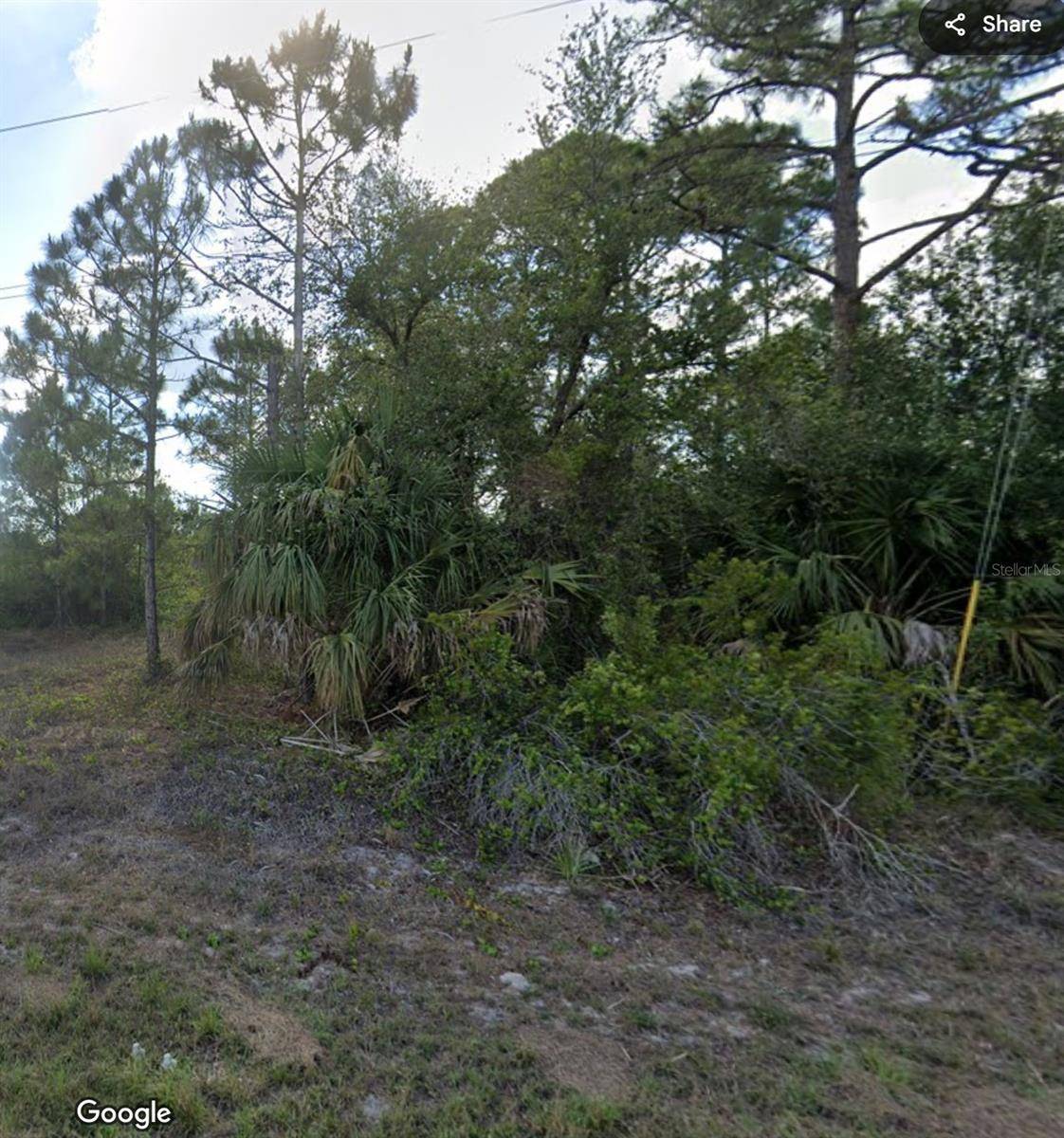 Lehigh Acres, FL 33974,536 BRUE AVE S