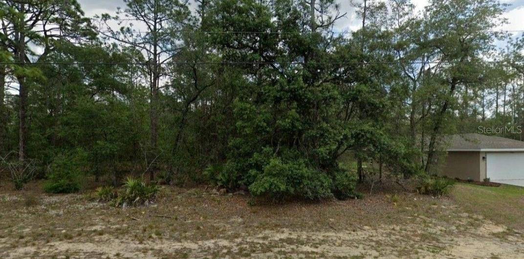 Citrus Springs, FL 34433,6299 N ALLSTON TER N