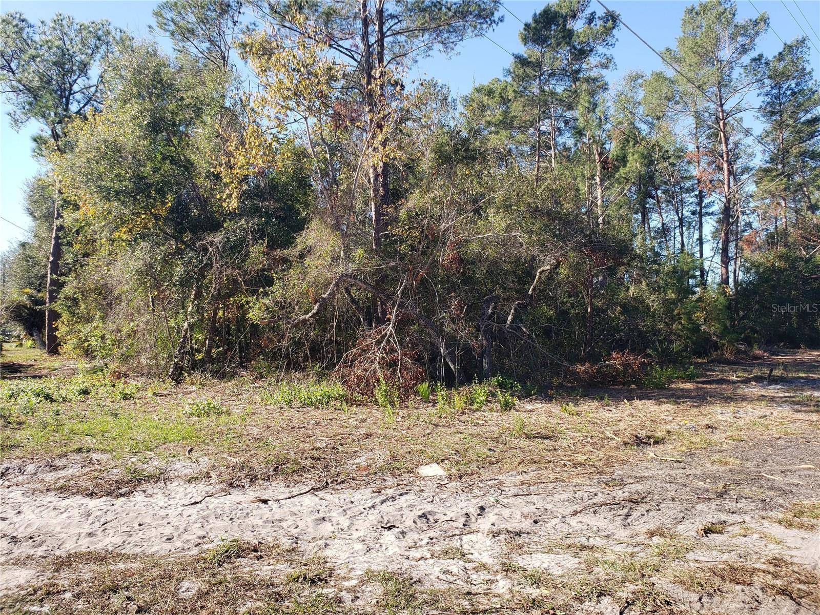 Paisley, FL 32767,DIXIE DR