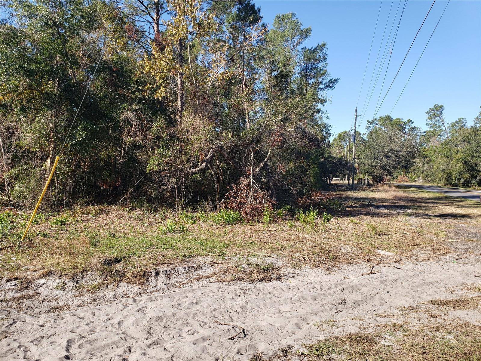 Paisley, FL 32767,DIXIE DR