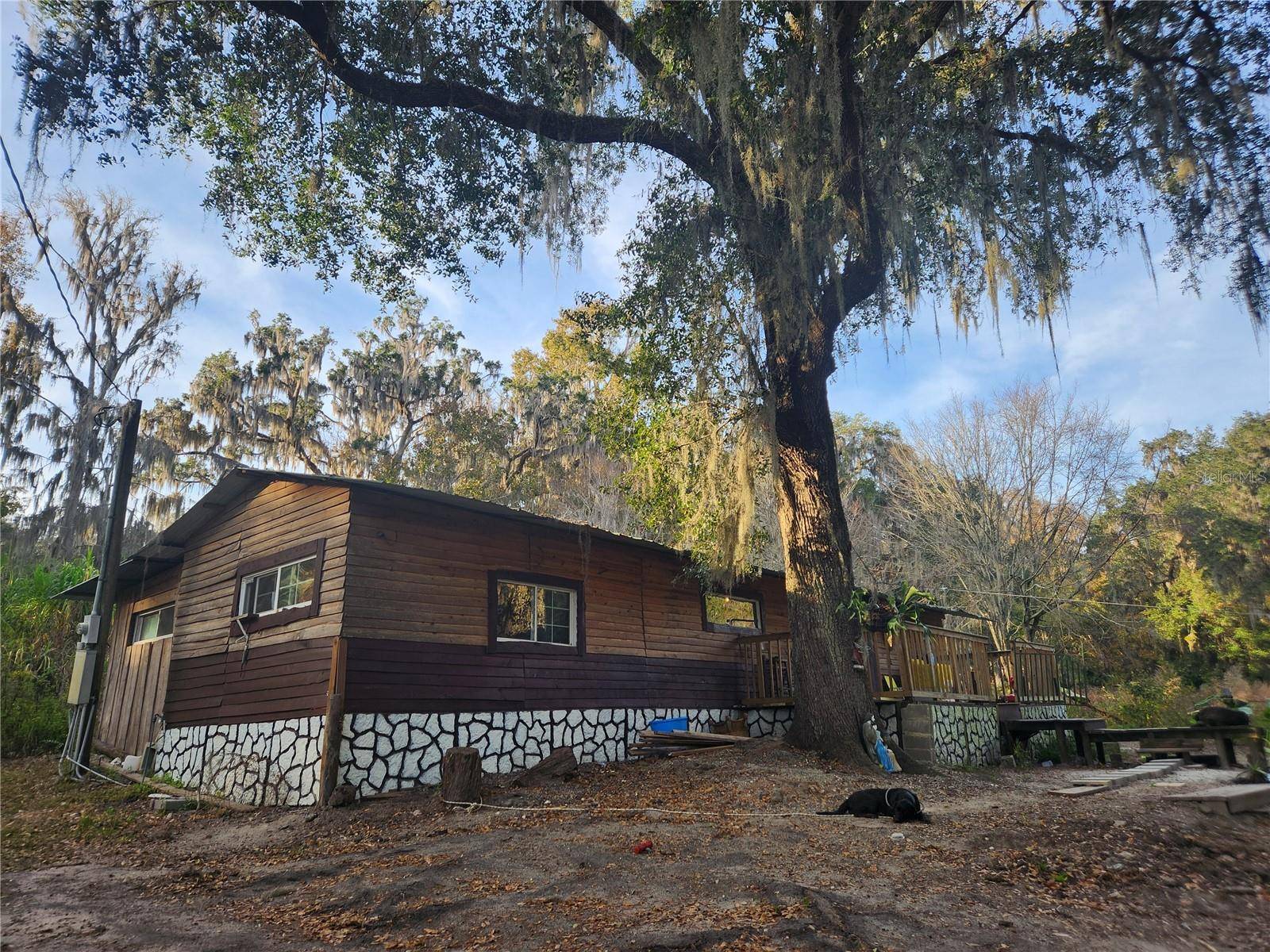 Micanopy, FL 32667,6547 NW 193RD ST