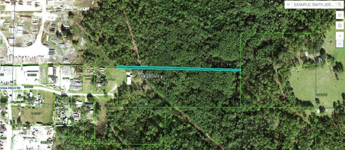 Polk City, FL 33868,APPALOOSA HILL RD