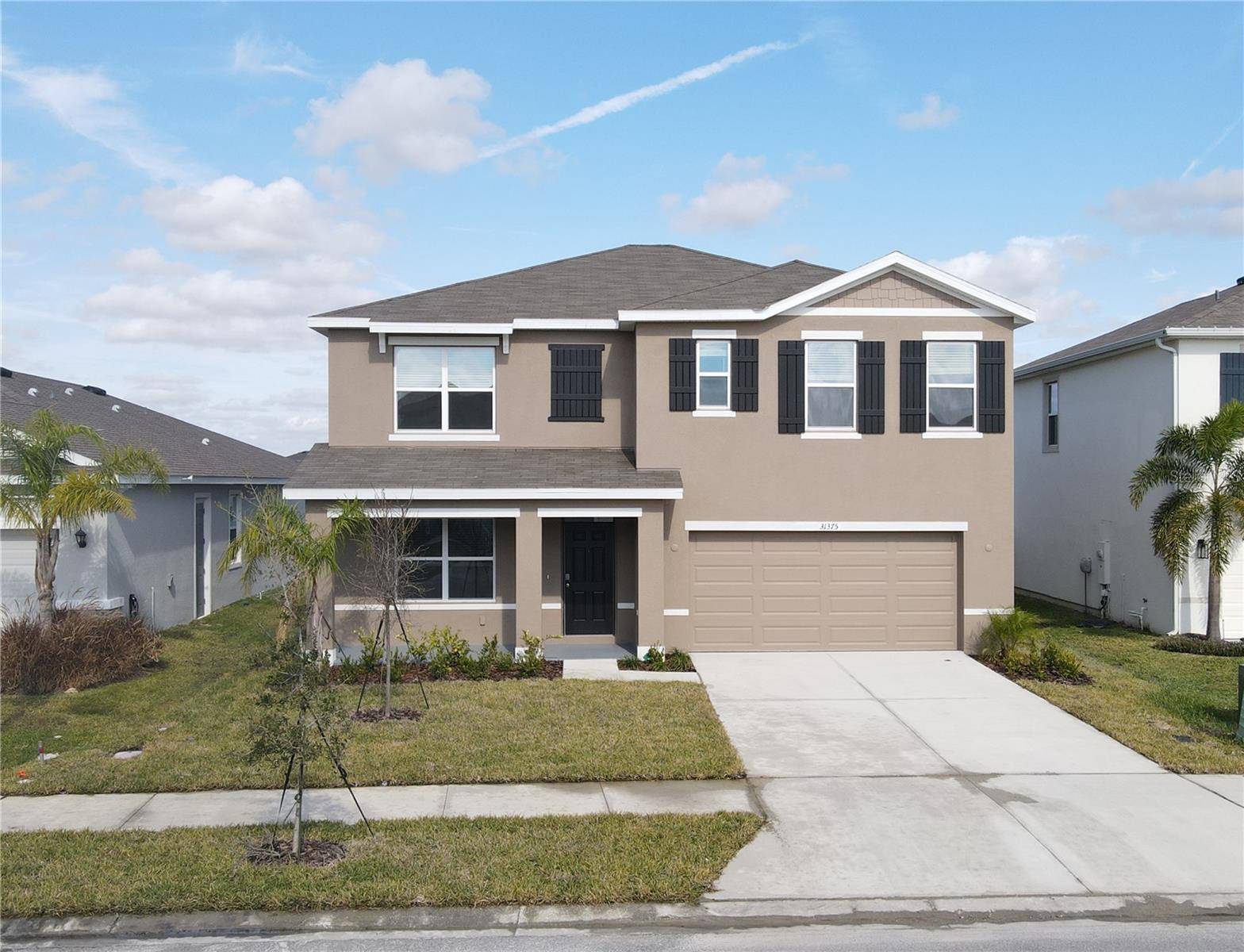 Wesley Chapel, FL 33545,31375 PENNY SURF LOOP