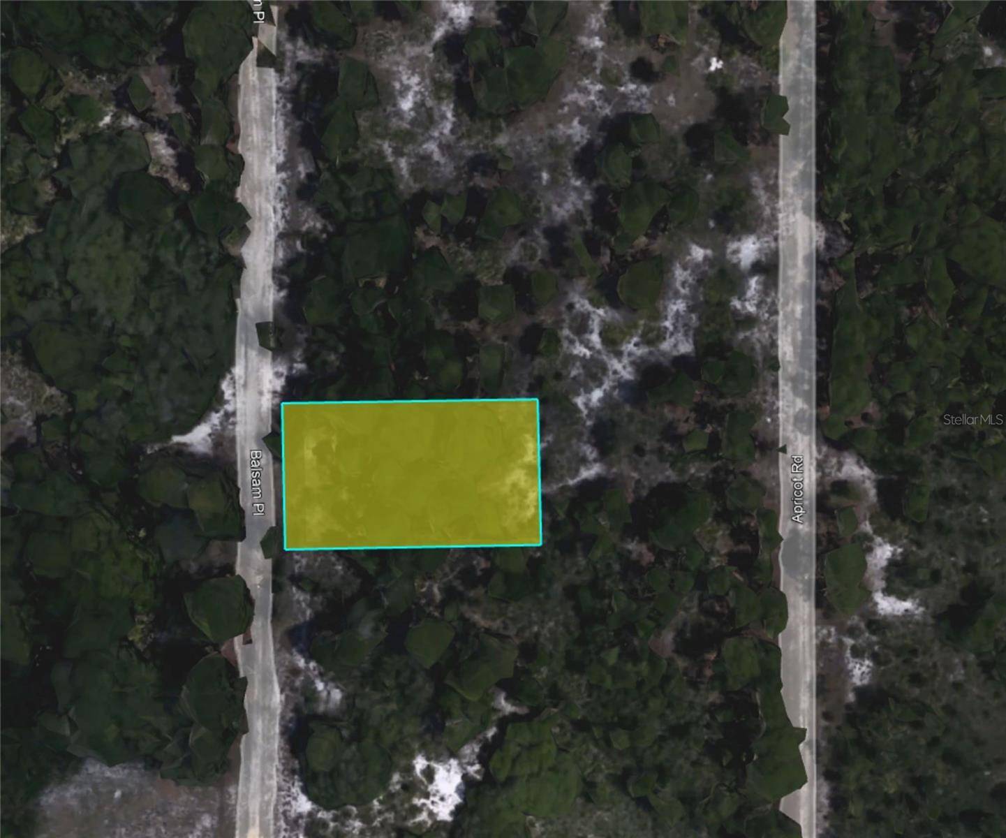 Sebring, FL 33875,6642 BALSAM PL