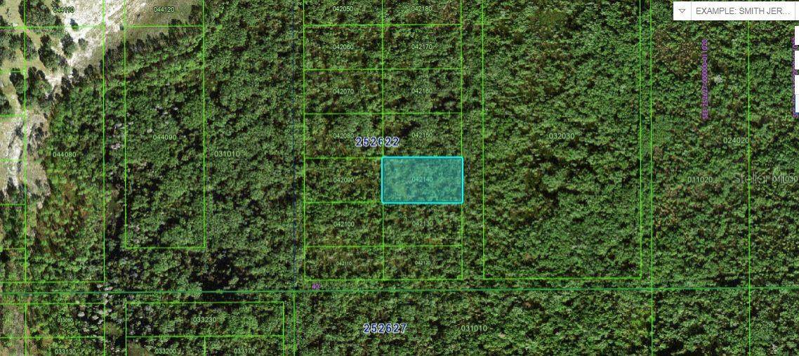 Polk City, FL 33868,COMMONWEALTH AVE N