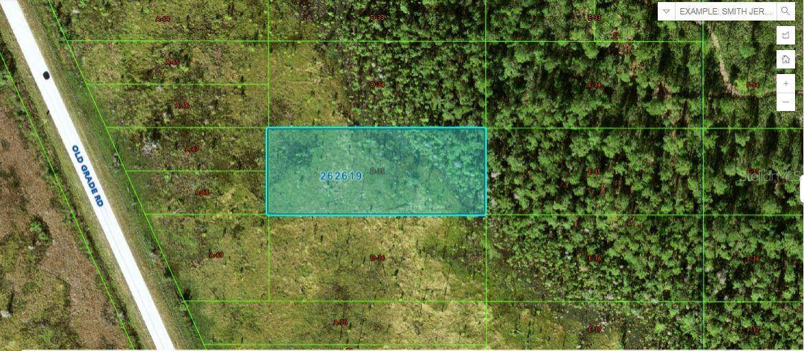 Polk City, FL 33868,OLD GRADE RD