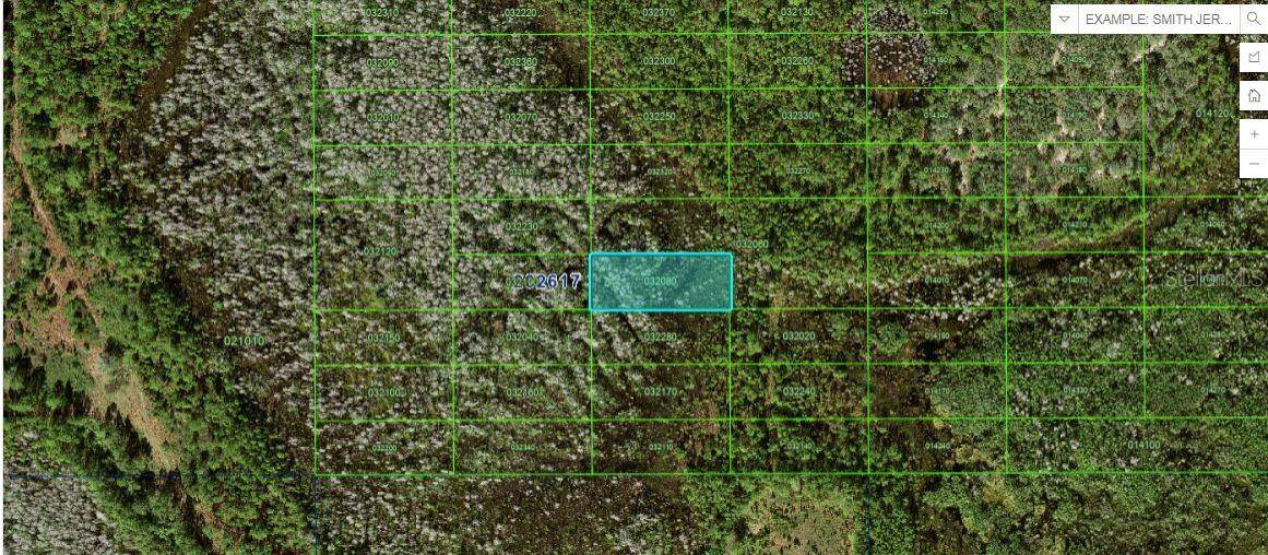 Polk City, FL 33868,OLD GRADE RD