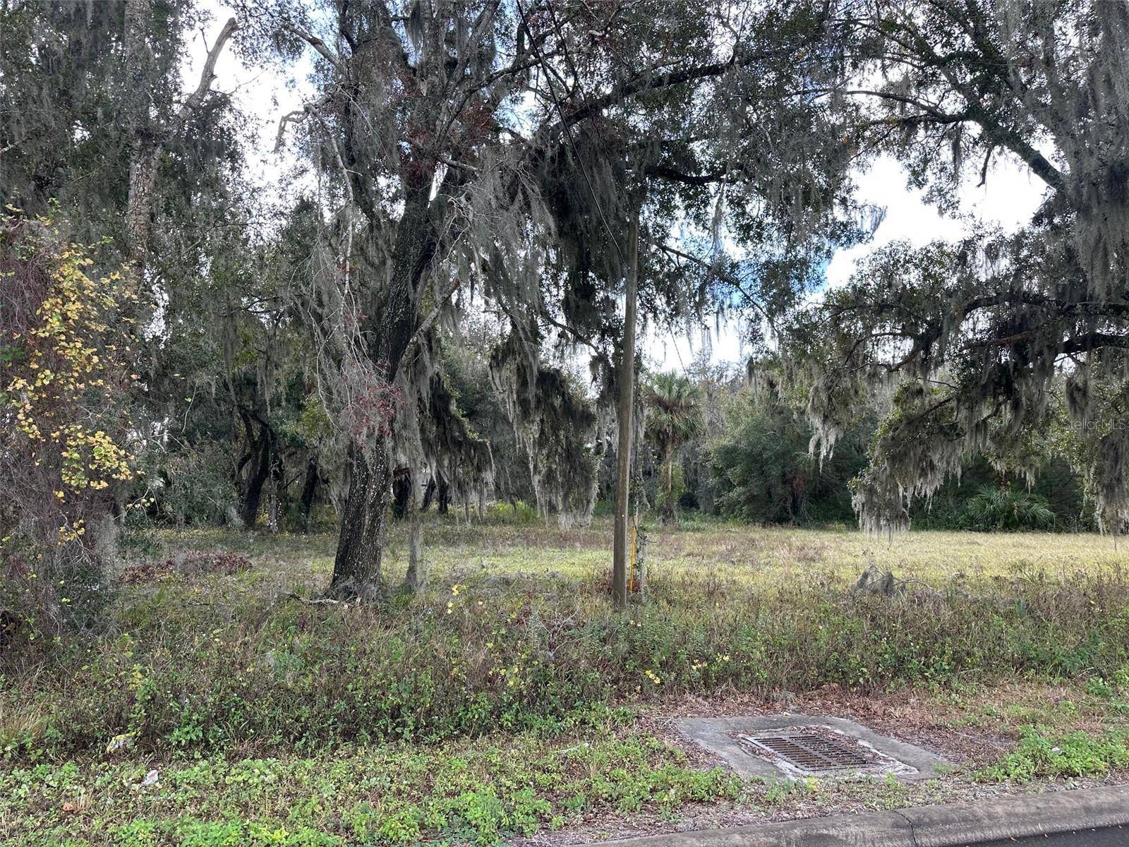 Osteen, FL 32764,0 DOYLE RD