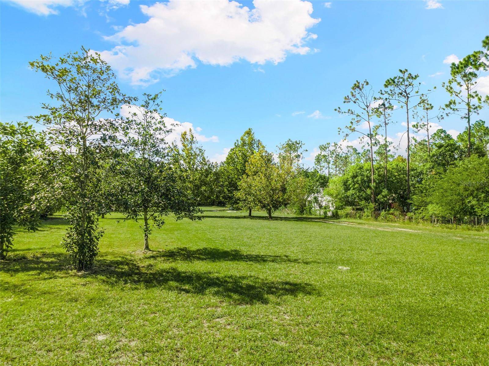 Groveland, FL 34736,S OBRIEN RD