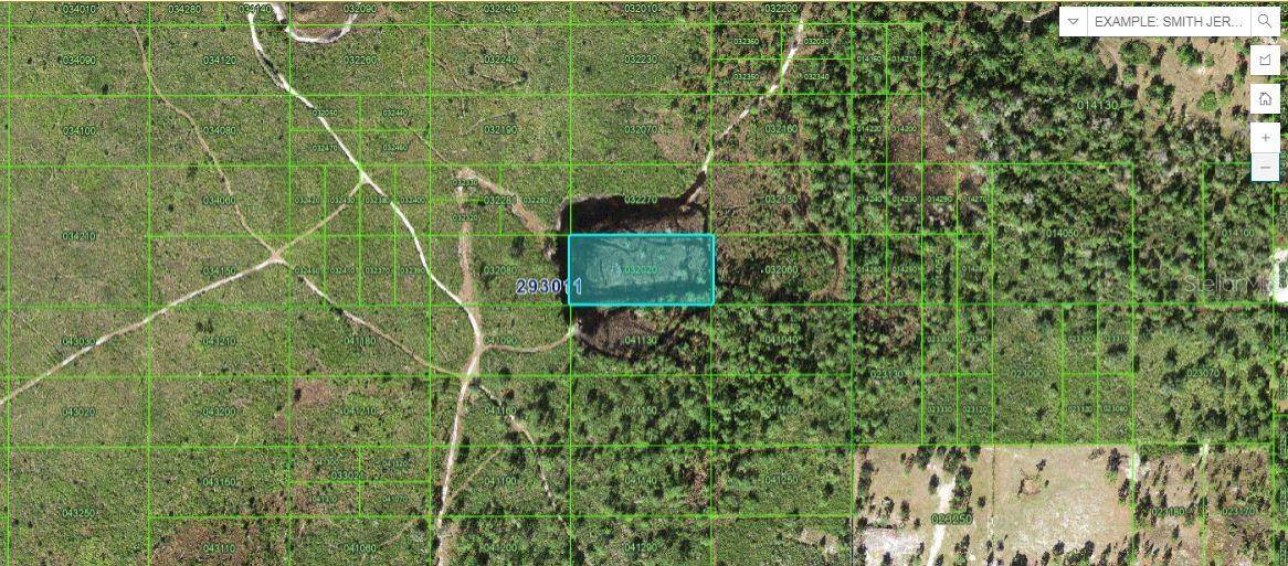 Lake Wales, FL 33898,TIGER LAKE RD