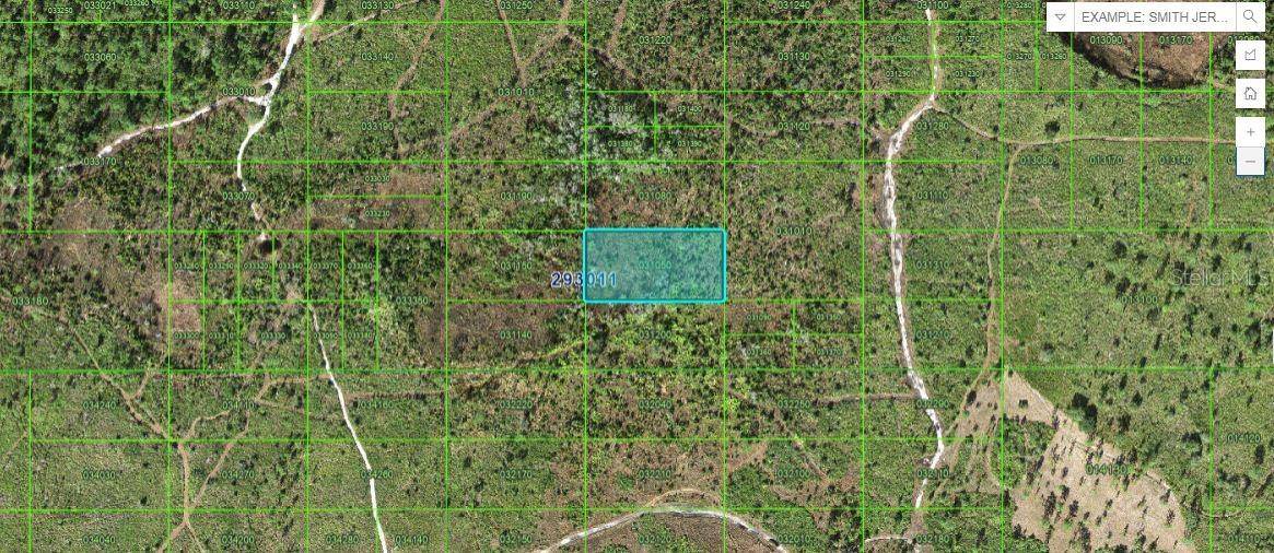 Lake Wales, FL 33898,TIGER LAKE RD